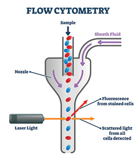 UV curable adhesives for lens positioning applications